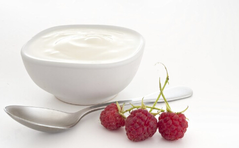 大月氏酸奶发酵菌种