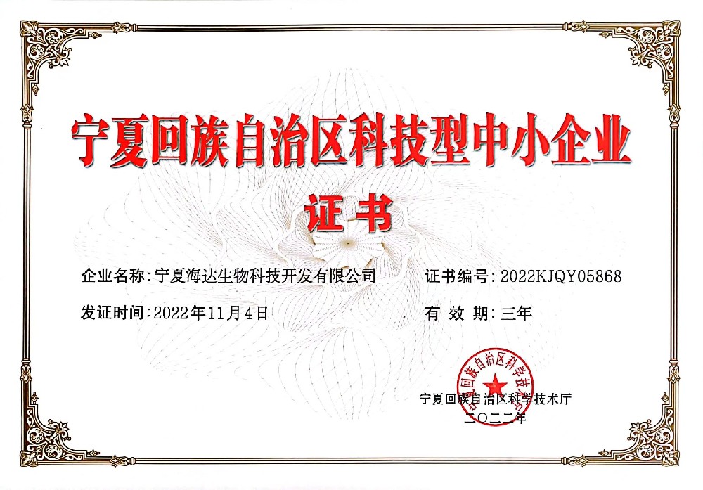 自治区科技型中小企业